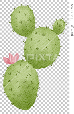 Cactus succulent plant watercolor Cactus succulent plant watercolor 110942609