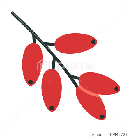 Barberry, cartoon style. Trendy modern vector illustration isolated on white background, hand drawn, flat design 110942721