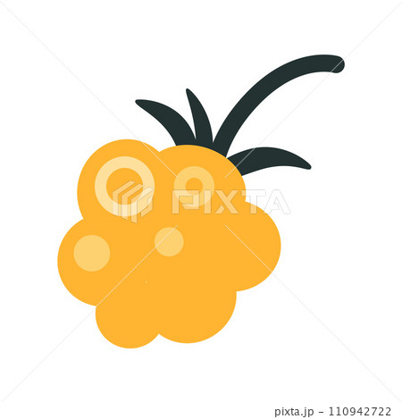 Cloudberry, cartoon style. Trendy modern vector illustration isolated on white background, hand drawn, flat design 110942722