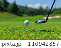 golf ball on tee 110942857