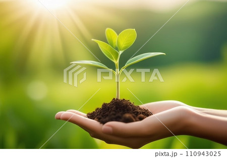 hand holding young plant .concept eco earth day 110943025