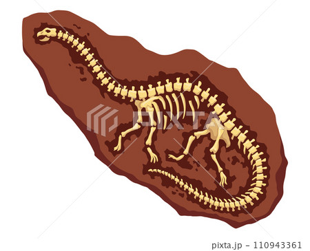 Dinosaur fossil skeleton bones, excavations of archeology isolated. Prehistoric reptile skeletons lying underground. Cartoon paleontological artifact 110943361