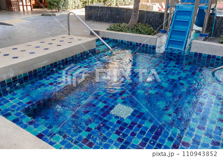 Garden and swimming pool in residential area Garden and swimming pool in residential area 110943852