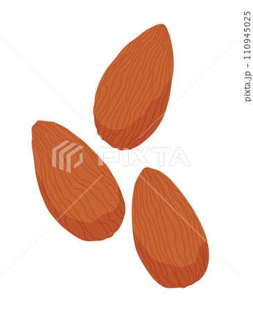 Almond nut icon. Nut vector illustration isolated on white background. Omega-3 product Almond nut icon. Nut vector illustration isolated on white background. Omega-3 product 110945025