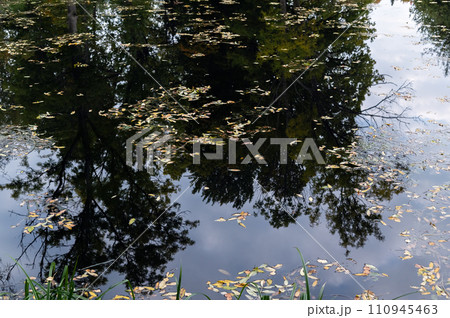 Reflection on the water. 110945463