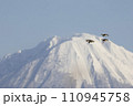 雪山バックに飛翔するオナガガモ 110945758