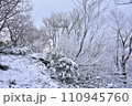 雪に覆われた山 110945760