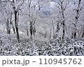雪が降る日の山 110945762