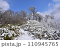 雪化粧した木々 110945765