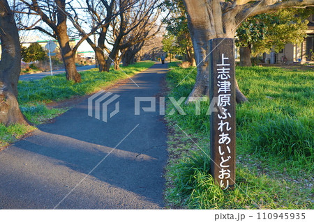 上志津ふれあいどおり 上志津ふれあいどおり 110945935