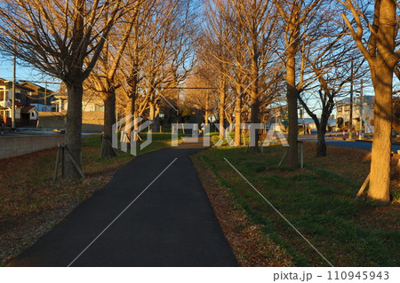 上志津ふれあいどおり 上志津ふれあいどおり 110945943