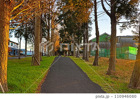 上志津ふれあいどおり 110946080