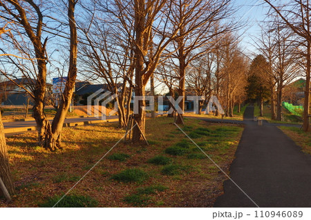 上志津ふれあいどおり 110946089