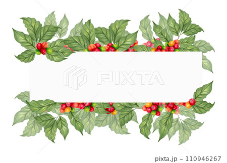 Banner made of coffee tree branches. Illustration with watercolor and marker. Frame of Arabica and Robusta coffee varieties. Coffee day. For menu, cafe concept, recipe book.Hand drawn isolated art. 110946267