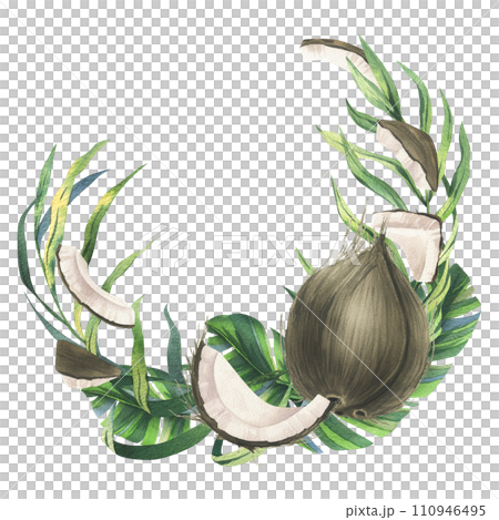 Coconuts whole, halves and pieces with bright, green, tropical palm leaves. Hand drawn watercolor illustration. Wreath, frame, template isolated from the background. 110946495
