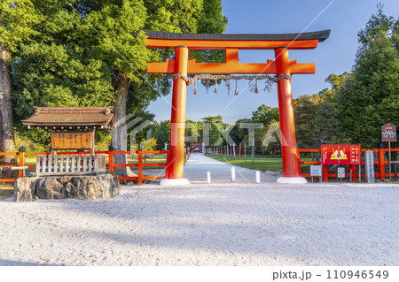 上賀茂神社　一の鳥居　参道（京都市北区上賀茂本山） 110946549