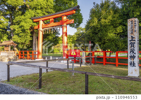 上賀茂神社　一の鳥居　参道（京都市北区上賀茂本山） 110946553