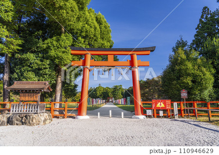 上賀茂神社 一の鳥居から二の鳥居までの参道(京都市北区上賀茂本山) 上賀茂神社 一の鳥居から二の鳥居までの参道(京都市北区上賀茂本山) 110946629