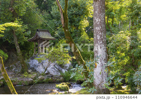 上賀茂神社 岩の上にある岩本神社(京都市北区上賀茂本山) 上賀茂神社 岩の上にある岩本神社(京都市北区上賀茂本山) 110946644