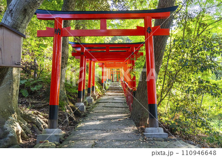 上賀茂神社 二葉姫稲荷神社の参道(京都市北区上賀茂本山) 上賀茂神社 二葉姫稲荷神社の参道(京都市北区上賀茂本山) 110946648