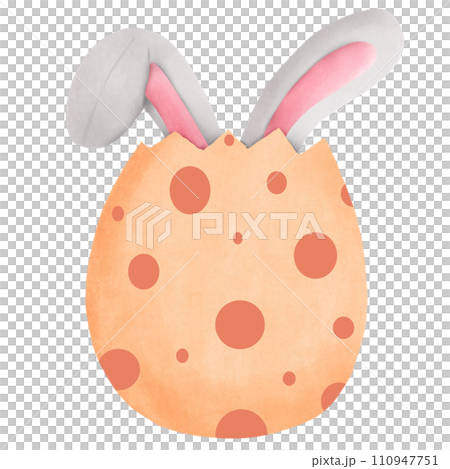 Rabbit in an eggshell easter festival Rabbit in an eggshell easter festival 110947751