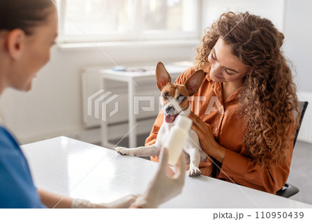 Owner pets dog as vet explains care 110950439