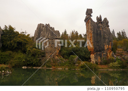 中国 チャイナ 磁器 110950795