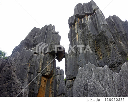 中国 チャイナ 磁器 110950825