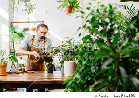 Man carefully wiping leaves of beautiful potted houseplants indoors. Concept of plants care and home garden. Urban jungle and plant parent concept. 110951169