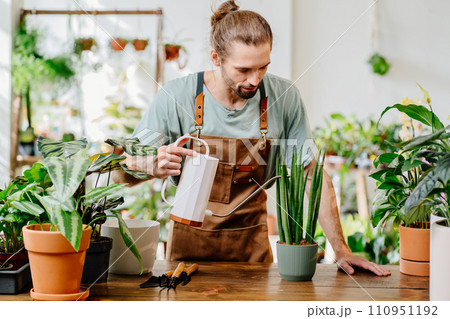 Handsome young man wearing apron carefully watering potted houseplants indoors. Concept of plants care and home garden. Urban jungle and plant parent concept. 110951192