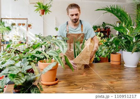Handsome Caucasian man wearing apron wrapping a potted plant in paper with care in greenery at floral shop. Enjoying his job at cozy flower shop.. 110951217