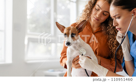 Intense vet checkup with owner holding dog 110951460