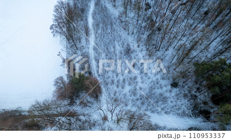Snow-Clad Slope and Bare Trees 110953337