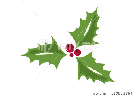 Christmas holly berry leaves. Vector illustration. Christmas holly berry leaves. Vector illustration. 110953864