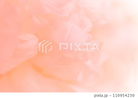 花びら・エレガント 背景素材 110954230