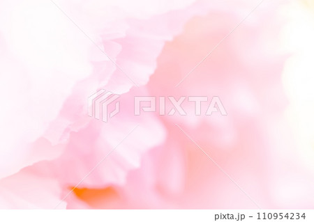 花びら・エレガント 背景素材 花びら・エレガント 背景素材 110954234