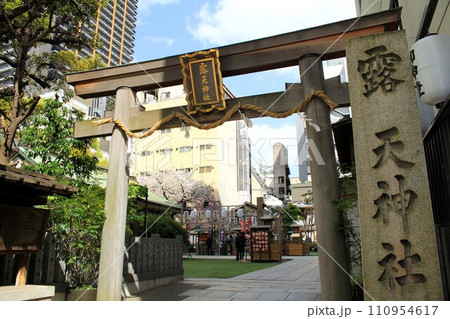 露天神社と桜 110954617
