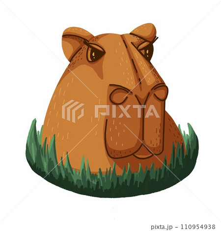 Isolated illustration of an adult capybara in the grass on a white background. A flat illustration. 110954938