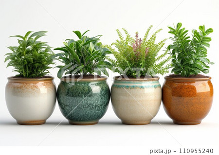 Four potted plants in color pots isolated on white background 110955240