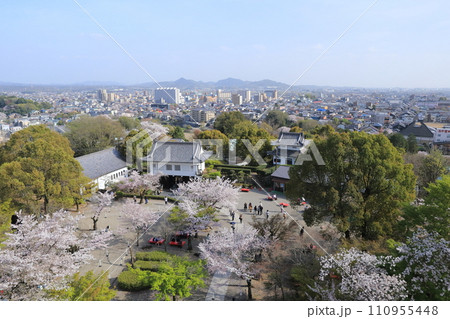 お城から眺める城下の桜（犬山城　愛知県 犬山市） 110955448