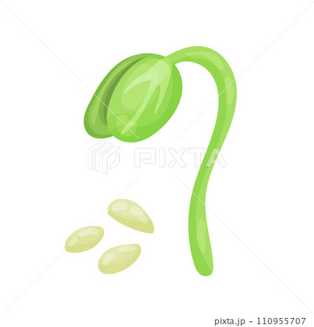 Sprout, sprouted seed, botanical vector illustration in cartoon style. 110955707