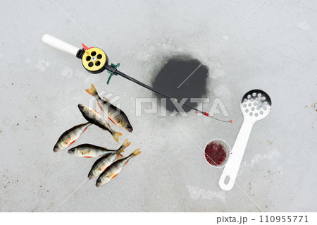 Winter fishing concept with fishing rod Winter fishing concept with fishing rod 110955771