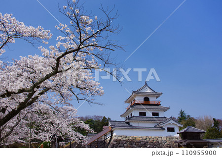 桜と白石城（宮城県白石市） 110955900