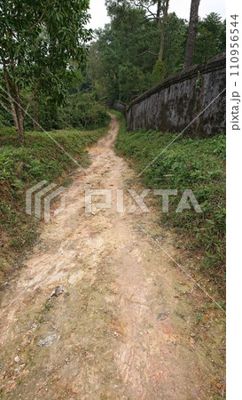 城壁に沿った道 110956544