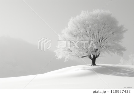a white image background with a lighted tree 110957432