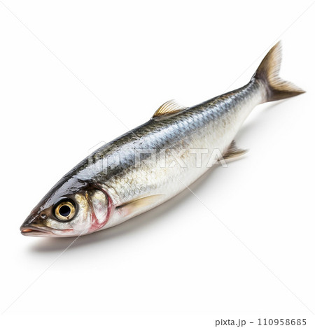 Tasty and healthy sea fish herring Clupea isolated on white close-up 110958685