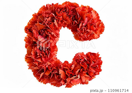 Carnation flower 3d letter c isolated on white background for creative designs and floral concepts Carnation flower 3d letter c isolated on white background for creative designs and floral concepts 110961714