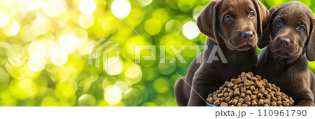 Happy dog in bubble bath with view, content canine in tub, panoramic image with copy space Happy dog in bubble bath with view, content canine in tub, panoramic image with copy space 110961790