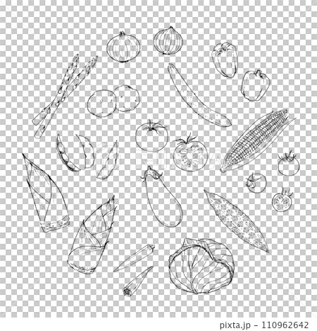春と夏の野菜のペン画　円デザイン 110962642