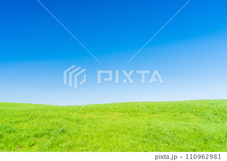 うららかな春日和に映える大自然高原風景(ヒゴタイロード)「うぶやま牧場周辺(阿蘇郡産山村)」 110962981